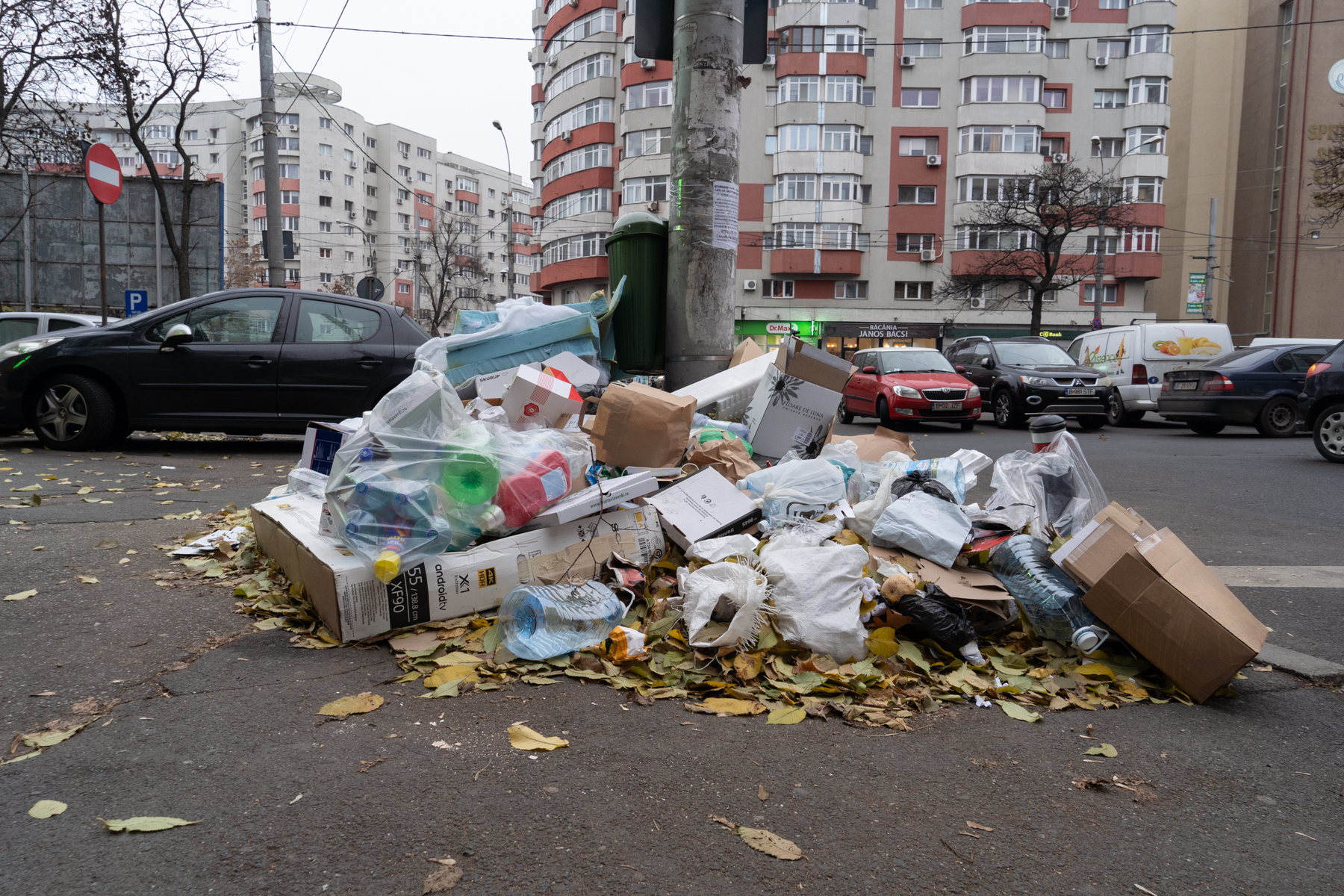 gunoaiele din sectorul 1, clotilde armand si romprest