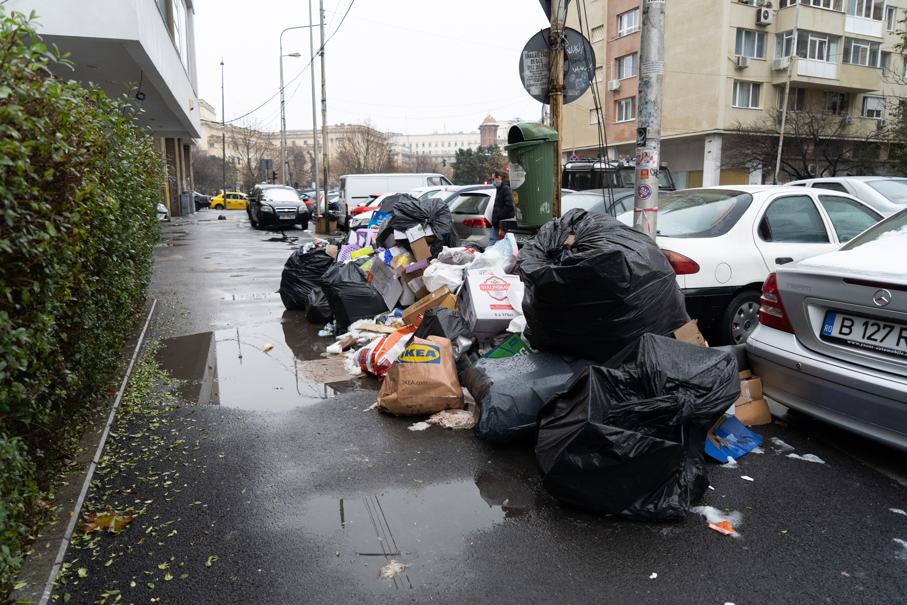 gunoaiele din sectorul 1, clotilde armand si romprest