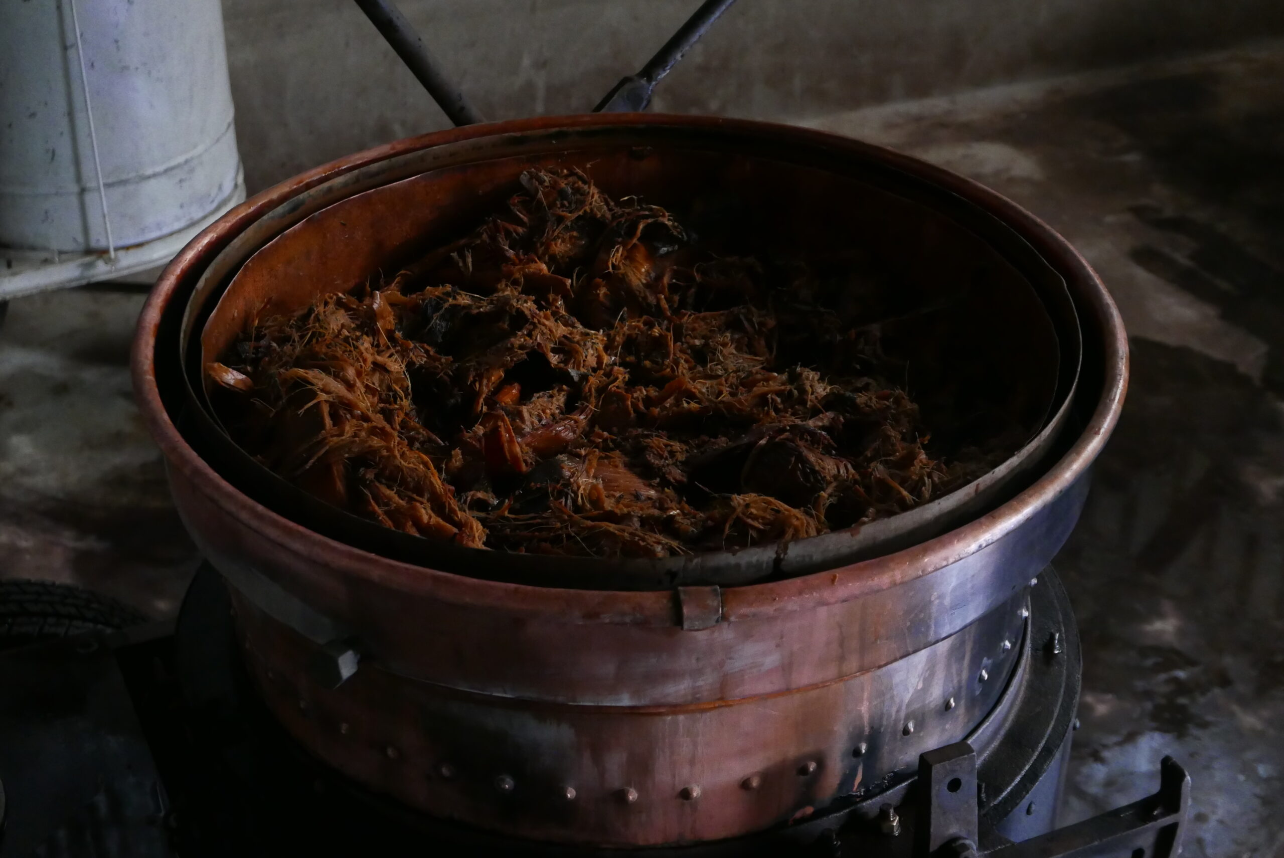 Agaves avant distillation © Reveeal.JPG