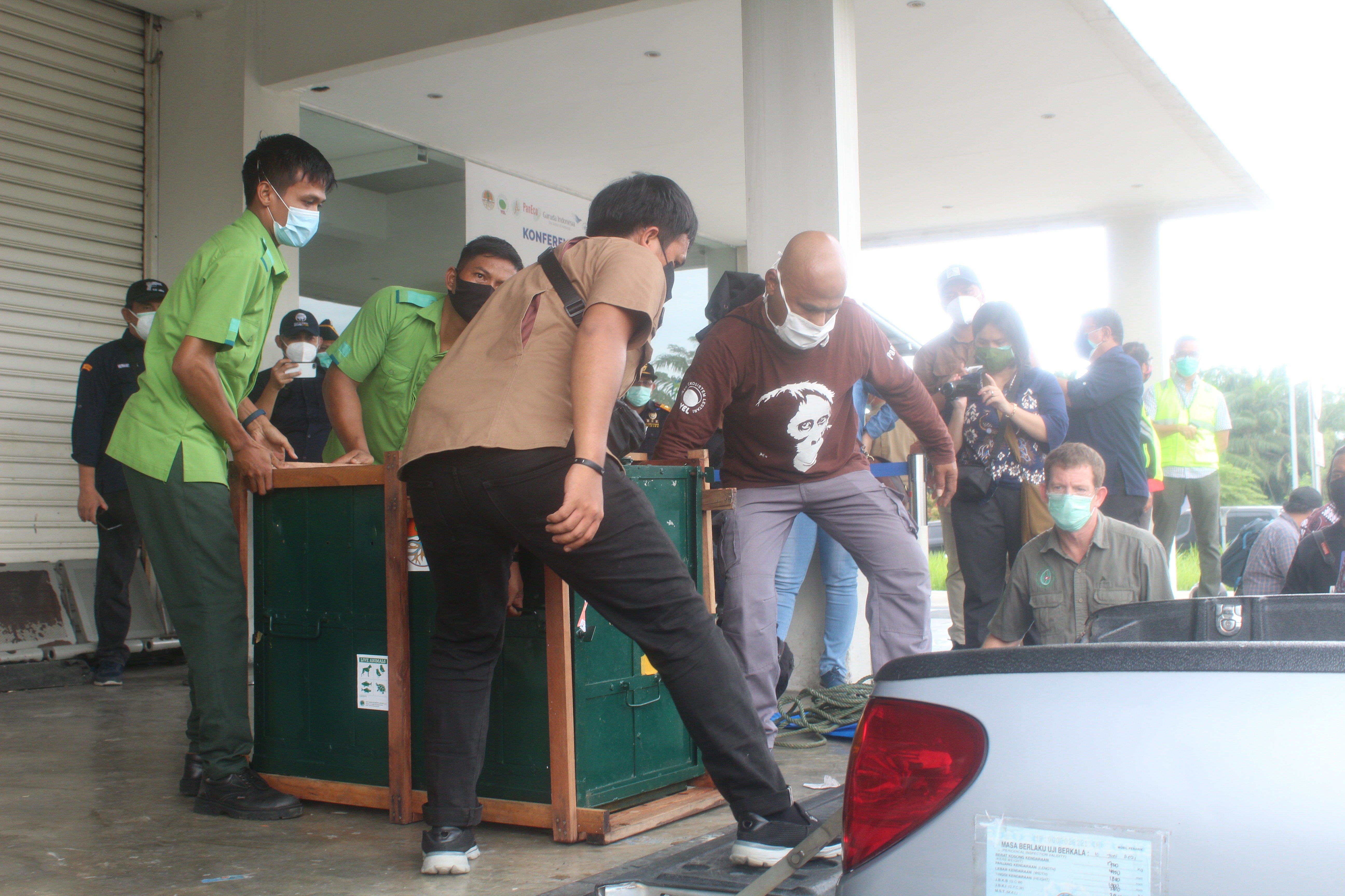 Kandang besar yang mengangkut orang utan Sumatra. Foto: Tonggo Simangunsong