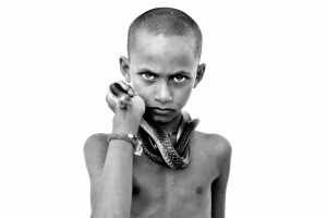 snake charmer, India, village, law, children