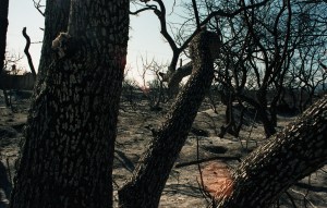 Incendios Córdoba