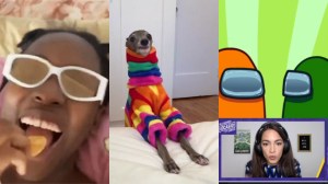 collage of elsa majimbo, dog in colourful outfits, AOC playing Among Us