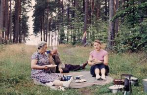 Picknick in het bos