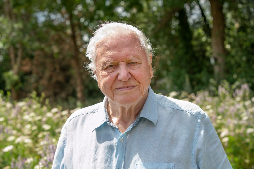 David Attenborough; Climate crisis; Pandemic; Environmental destruction