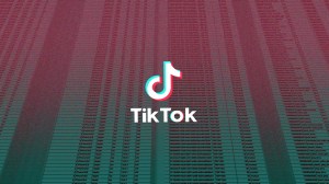 TikTok Data Privacy