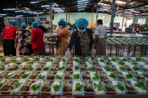 Myanmar, pandemic, food