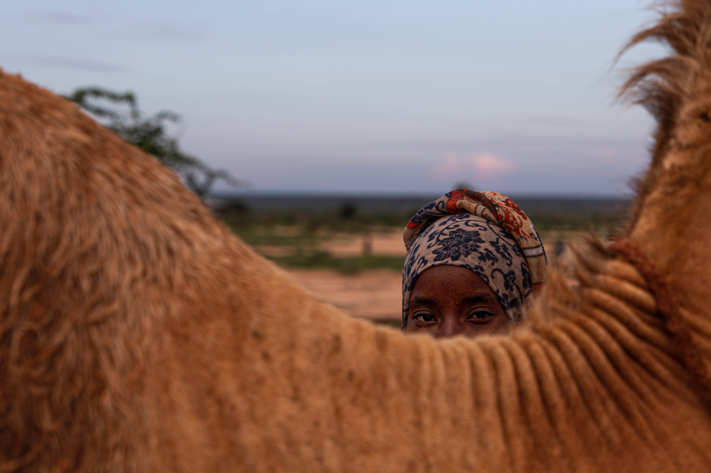 A woman stands behind a camel.