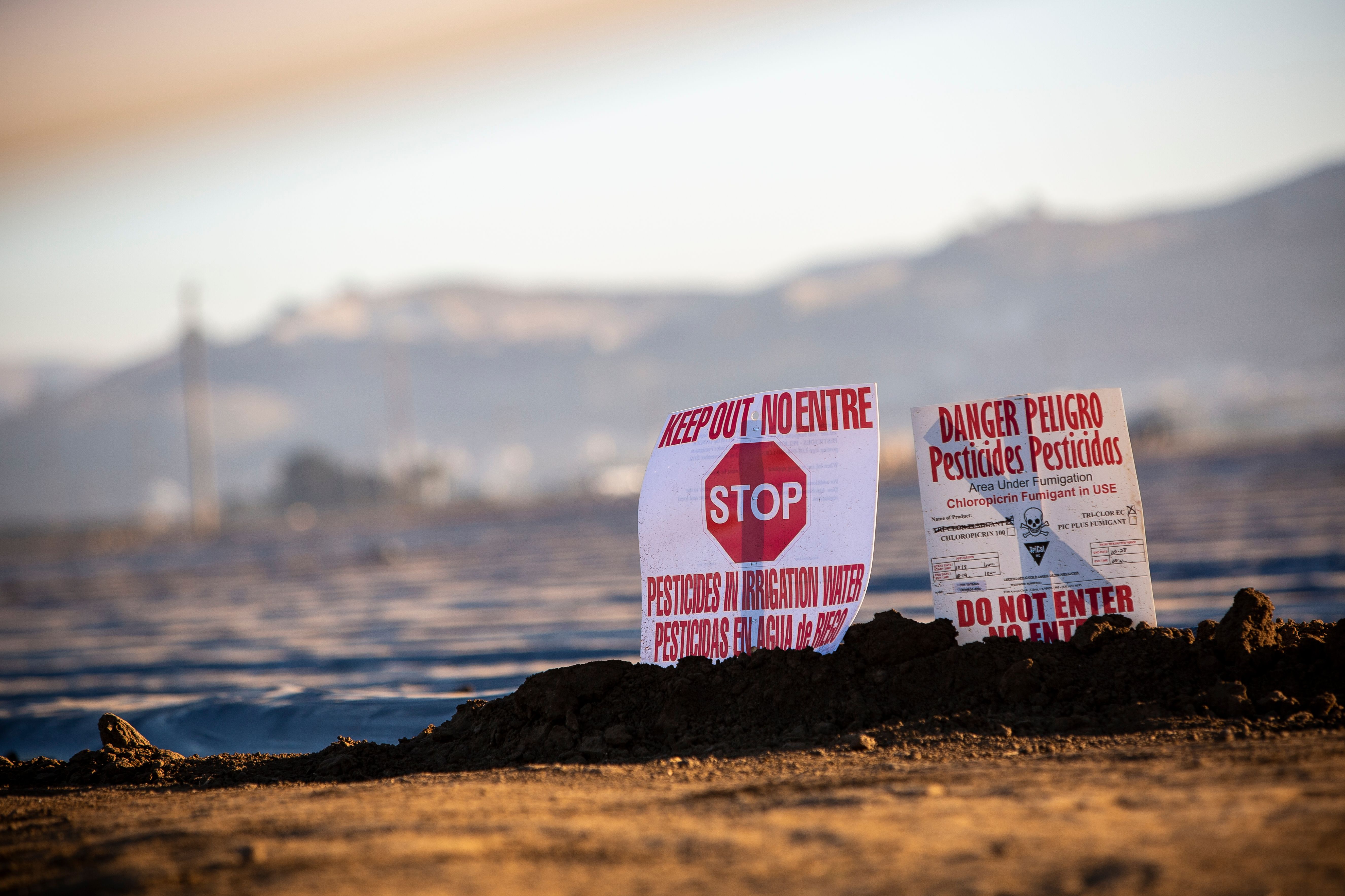 Signs like these are commonly used to warn workers to stay away after a field has been sprayed