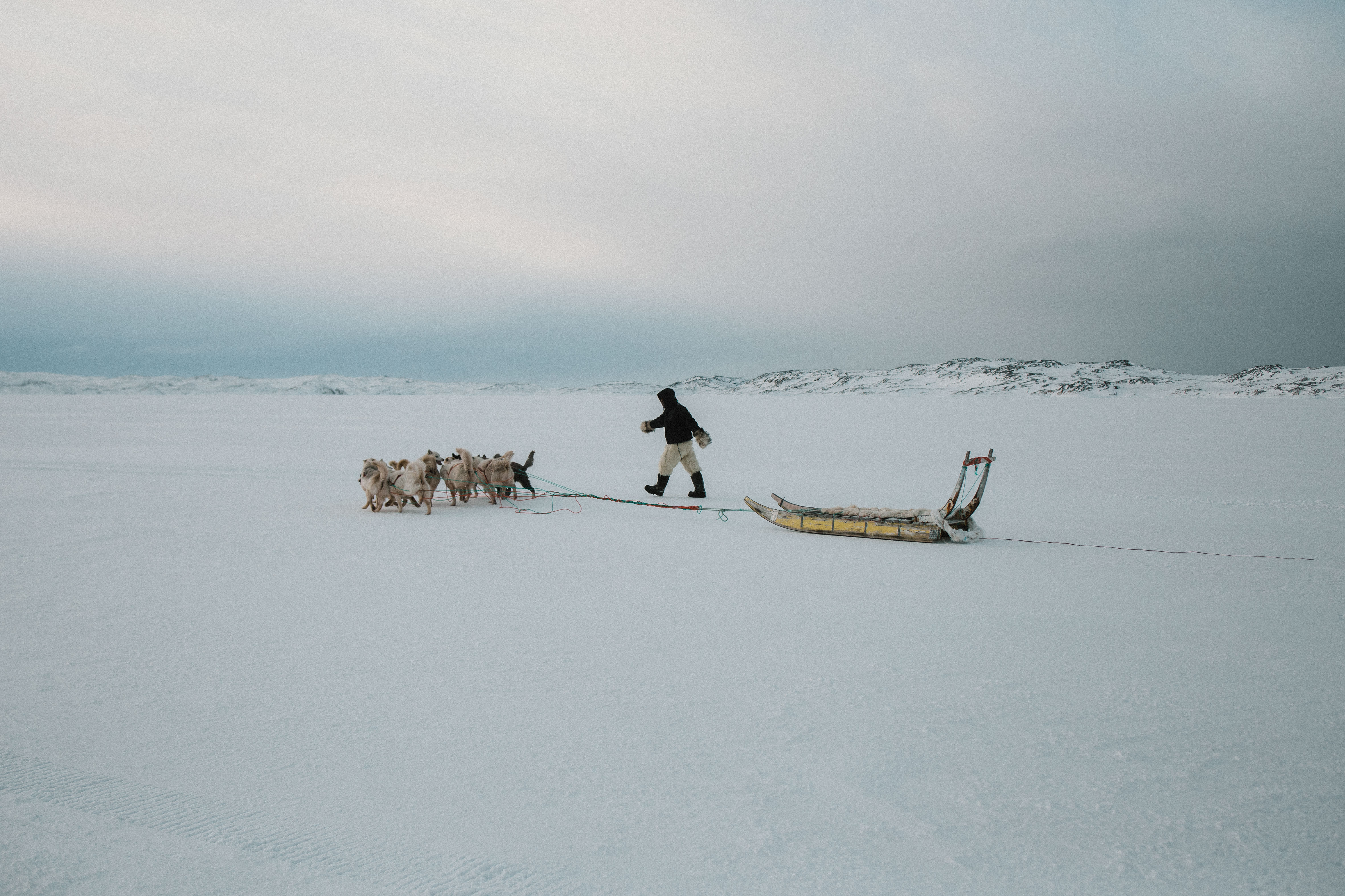 AN INUK PERSON WITH A DOG SLED ON AKUNNAAQ