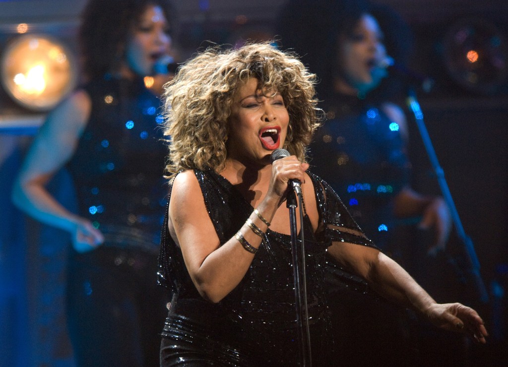 Tina Turner (Getty)