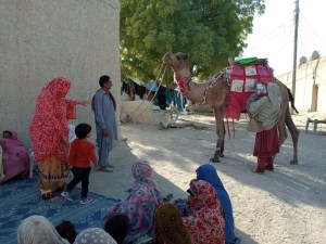 camel library bringing books to children in Balochistan