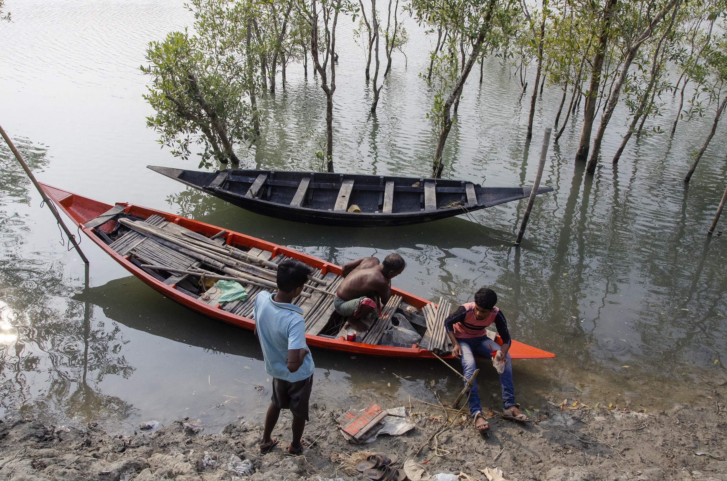 India’s Sunderban Delta Has Lost 3000 Men to Tiger Attacks