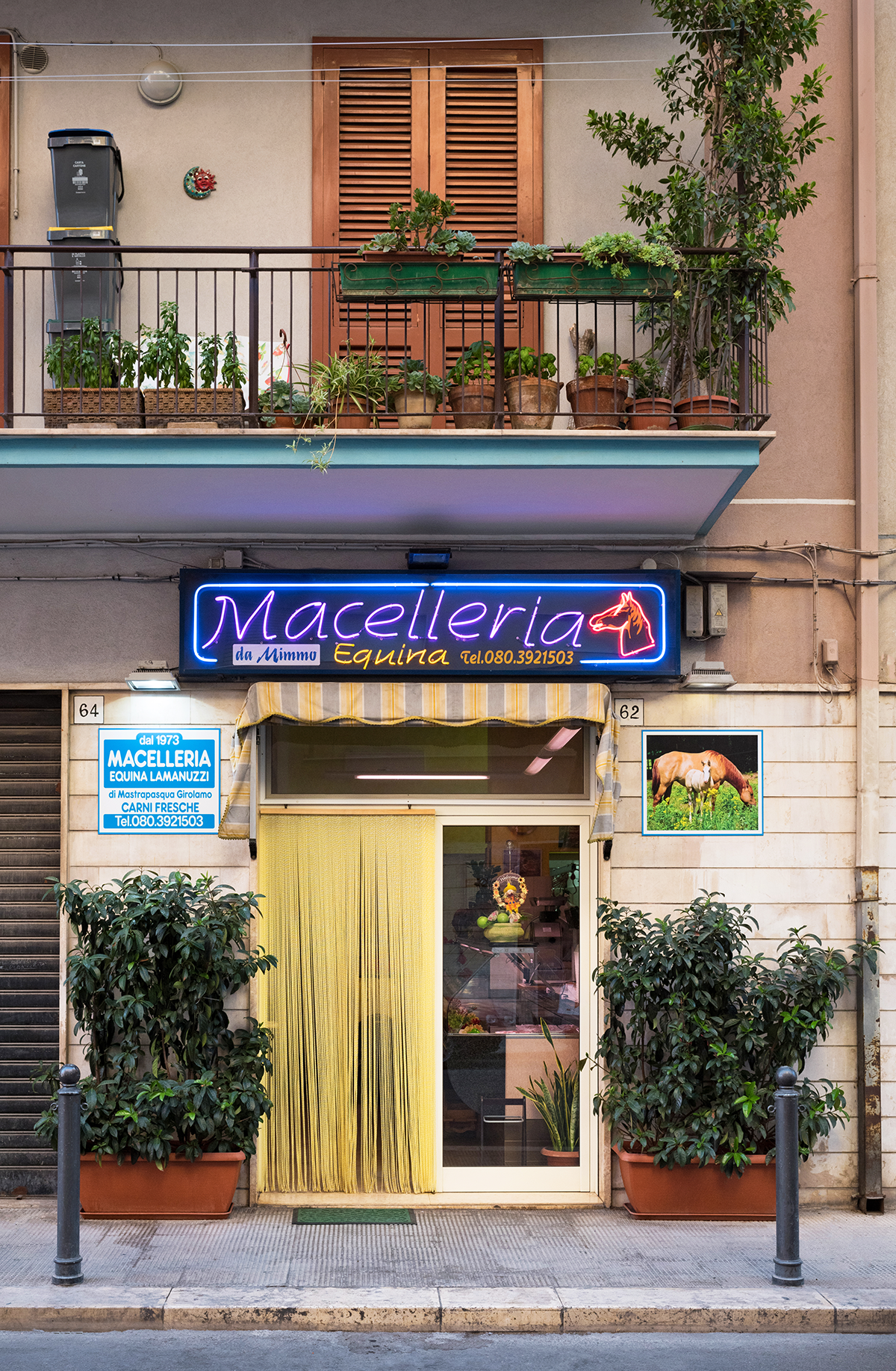 La facciata di una macelleria equina.