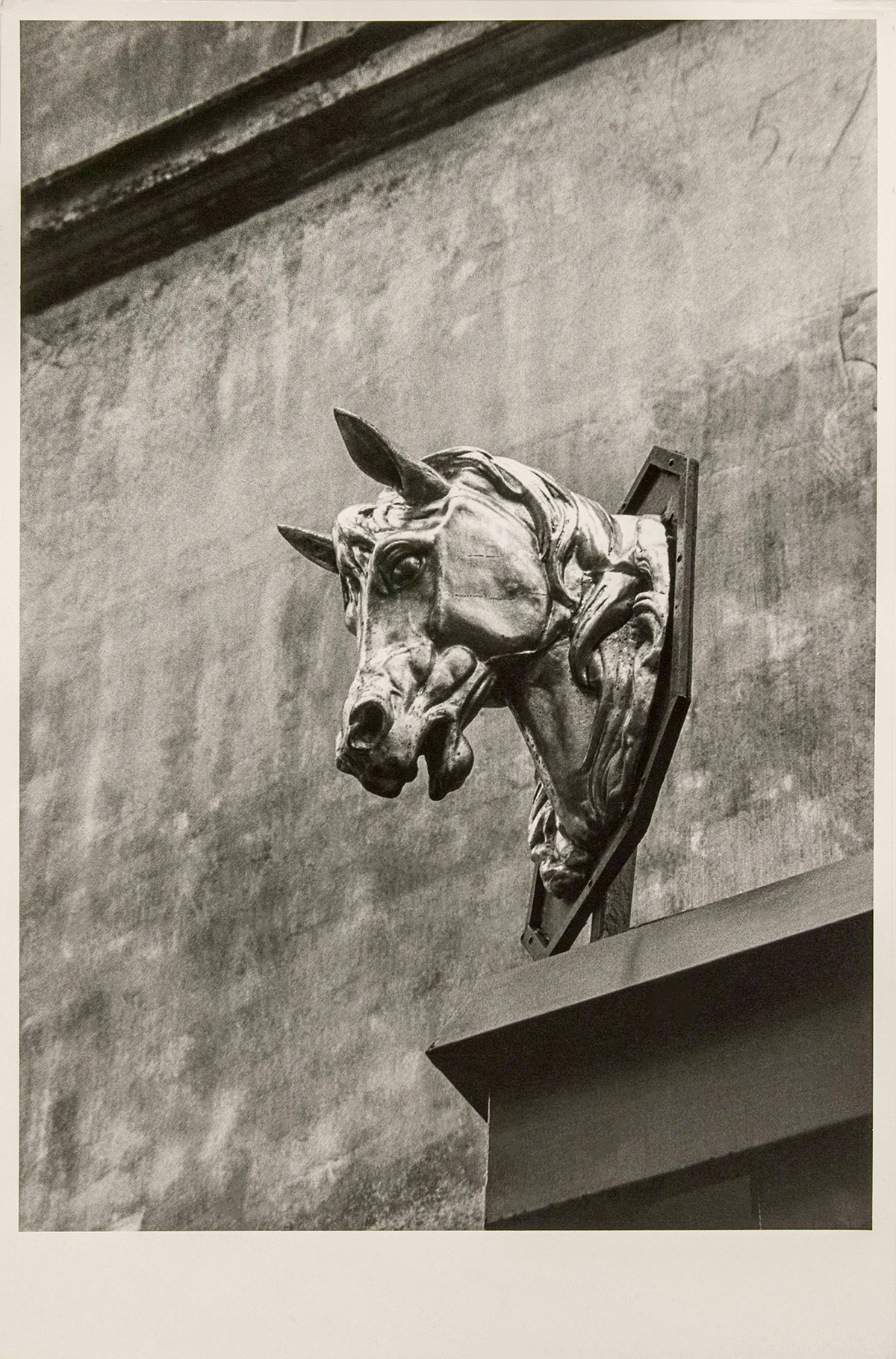 Una testa di cavallo su un muro a Parigi