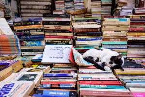 A black and white cat sleeping on piles of books