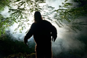 Oklahoma Bigfoot Hunting