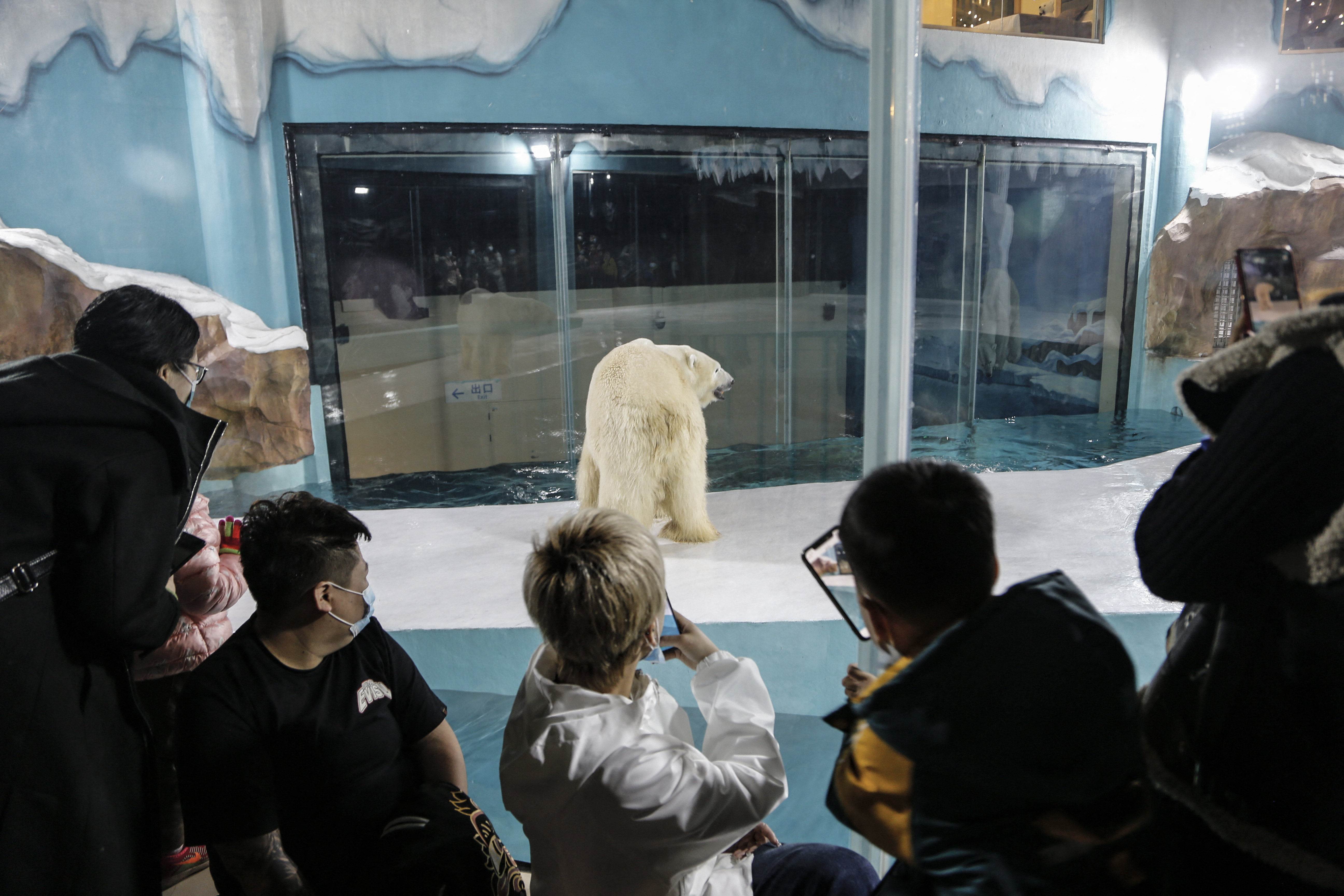 ​People look at a polar bear inside its enclosure at a newly-opened hotel in Harbin, China.​ PHOTO: AFP / STRINGER