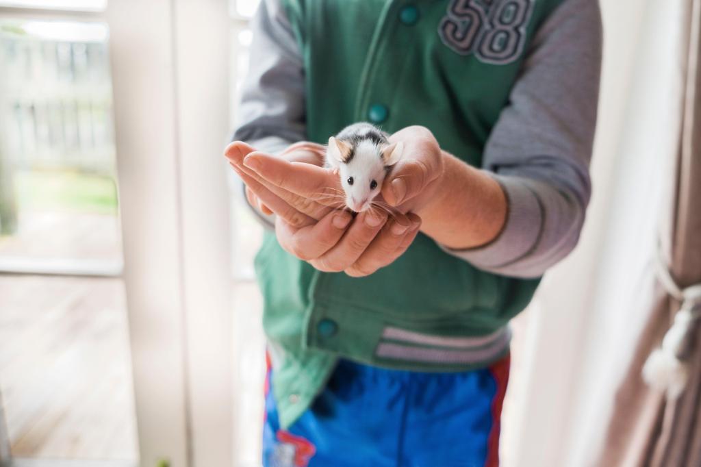 Young man holding live mouse in hands