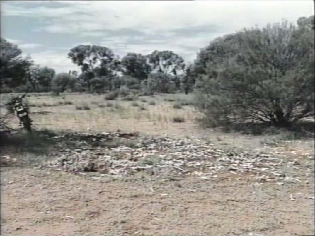 Videoaufnahme von vielen Knochen in einer Steppenlandschaft