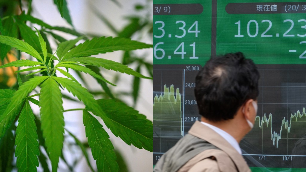 weed, Japan, drugs, stocks, money