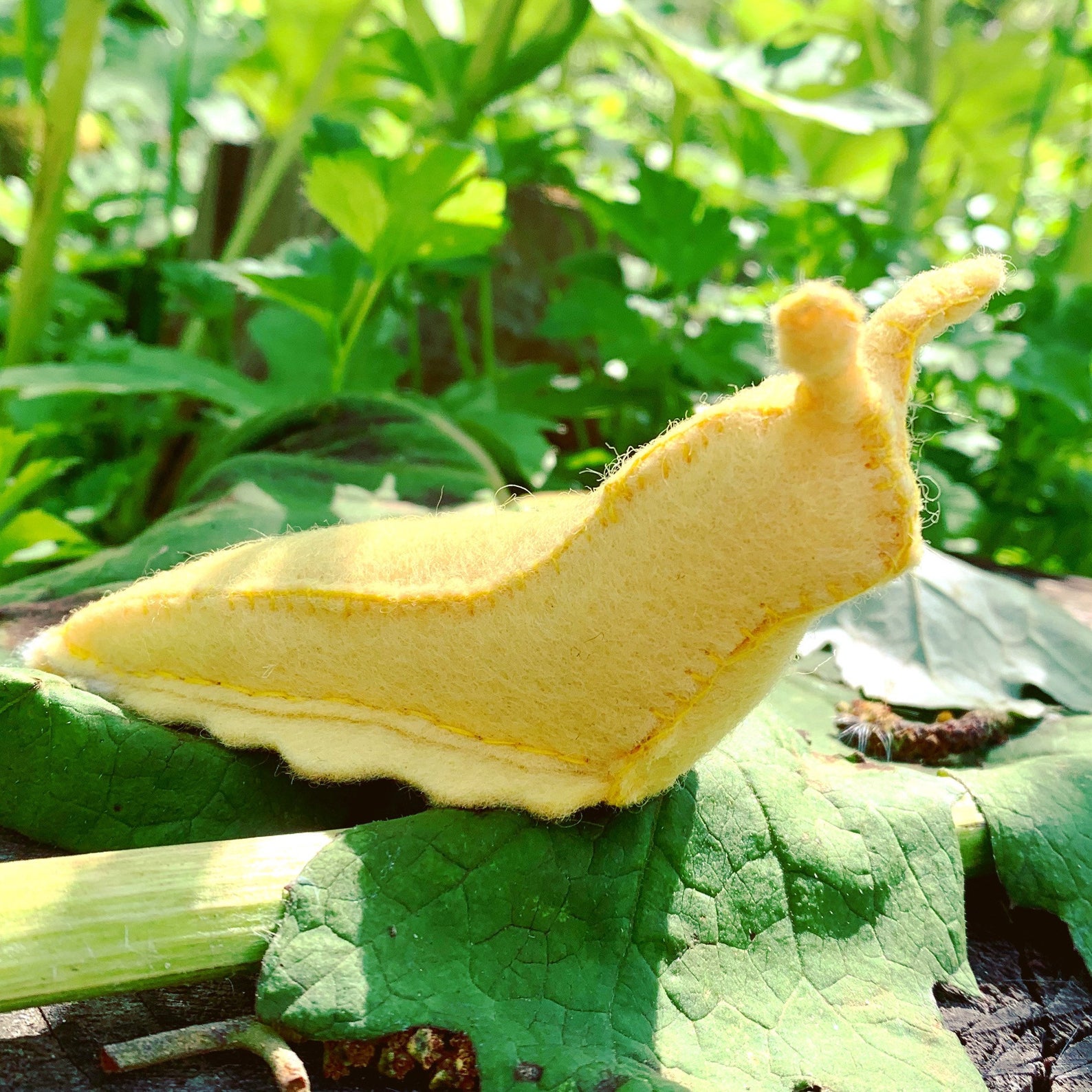 Banana Slug