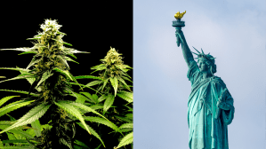 ​On the left, cannabis plants. On the right, the statue of liberty.