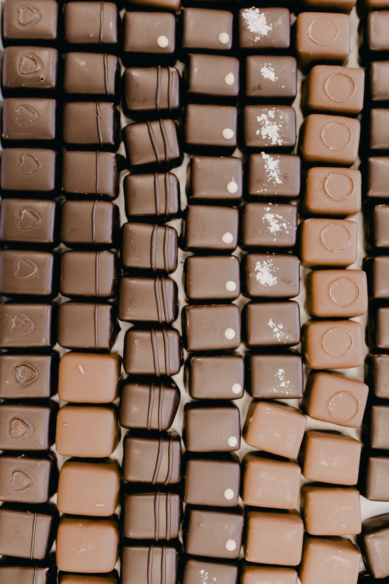 Giotto Bakery – seven rows of chocolate pralines in different shapes and flavours.