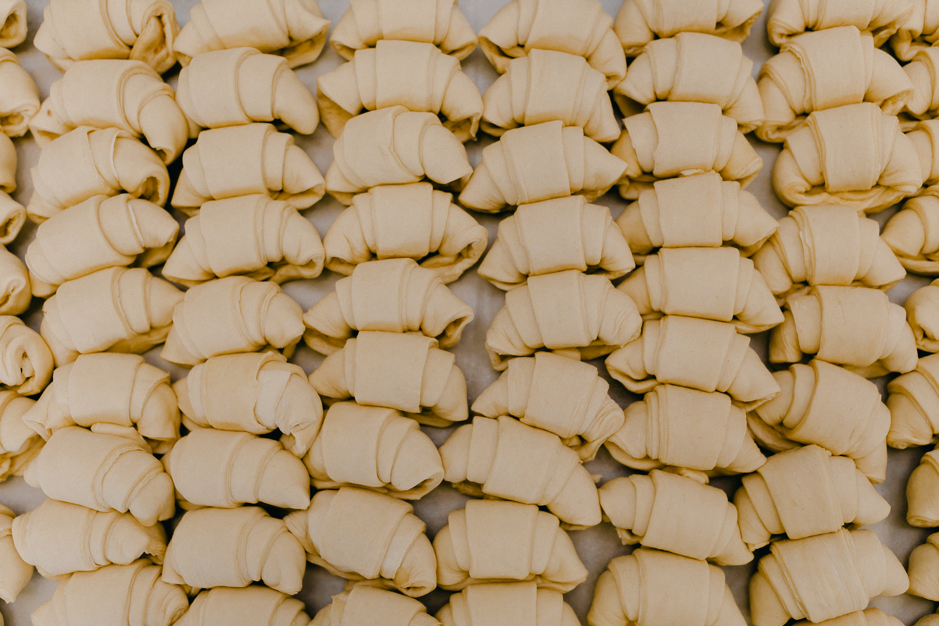 Giotto Bakery – Rows of rolled-up croissants, ready to be baked.