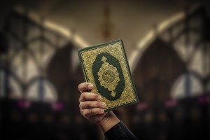 Hand Of Person Holding Holy Book - stock photo