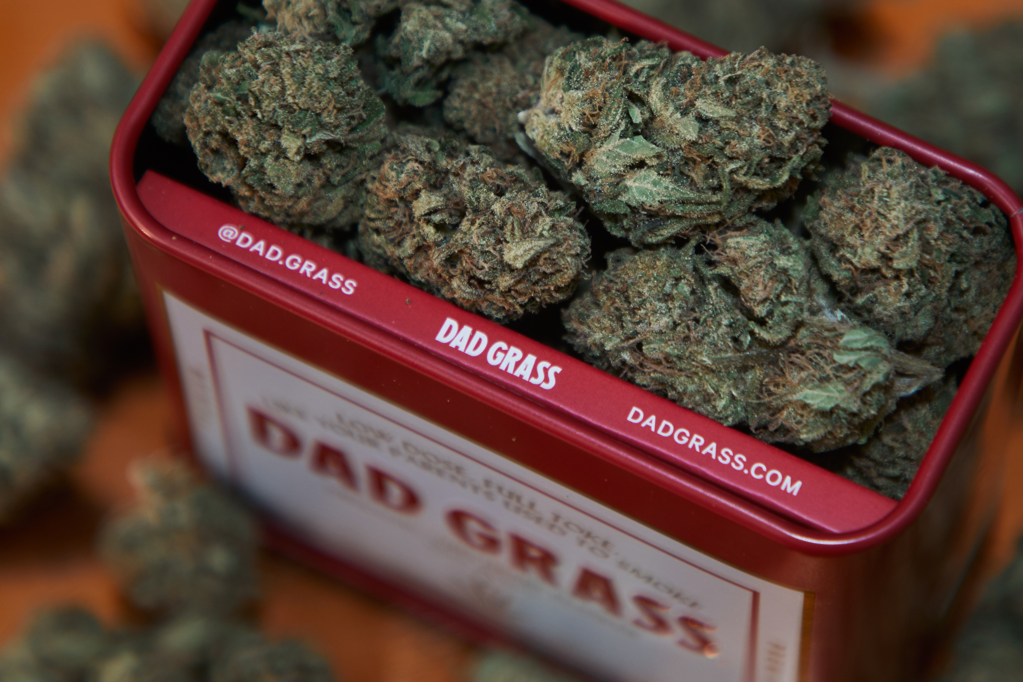 DadGrass_Flower_Quarter_22.jpg