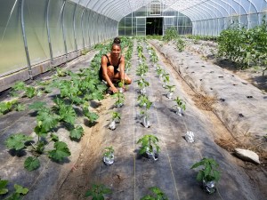 Leah Penniman tending to produce at Soul Fire Farm