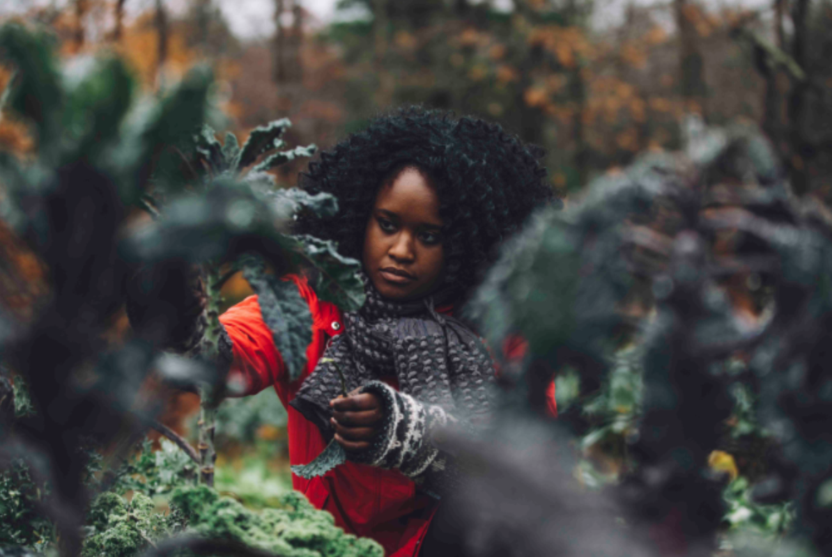 A woman tending to kale at Soul Fire Farm