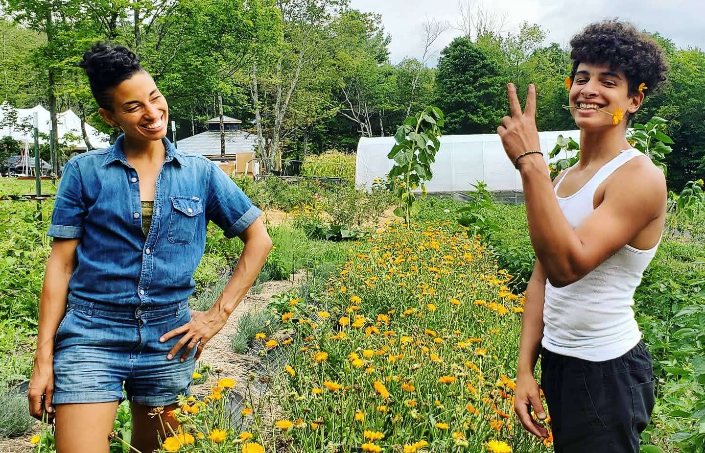 A woman and young man in a garden of calendula flowers