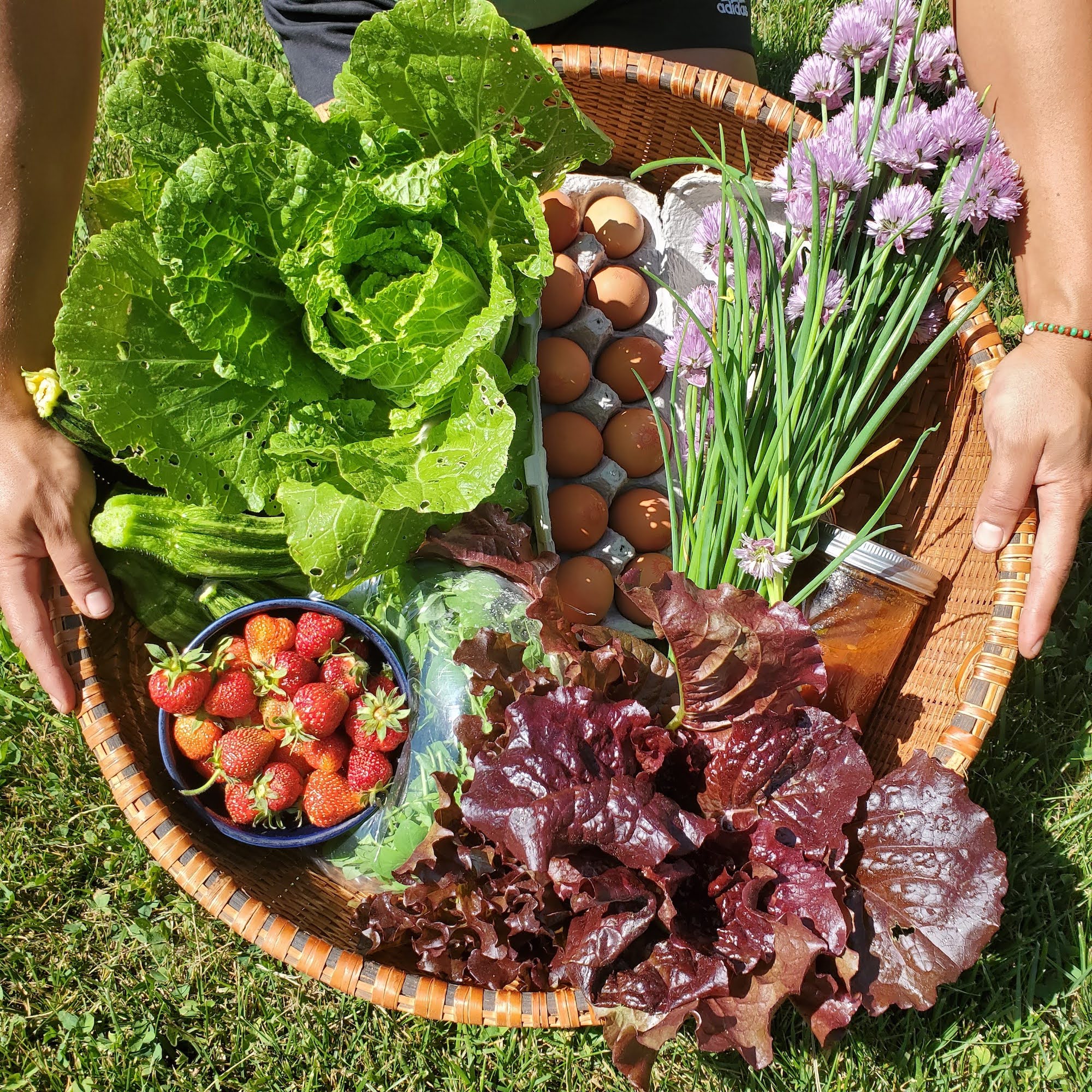 Leah holds a harvest basket with strawberries, lettuce, chives, eggs, and peas