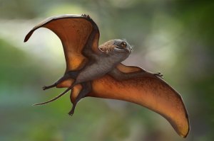 Ilmuwan Menemukan Fosil Reptil Pterosaurus era Jurassic Bentuknya Mirip Pokémon