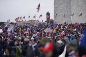 Photo shows a crowd of demonstrators in Washington D.C. backed by many American flags.