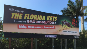 Billboards in the Florida Keys warn of the upcoming release of genetically-modified mosquitos.