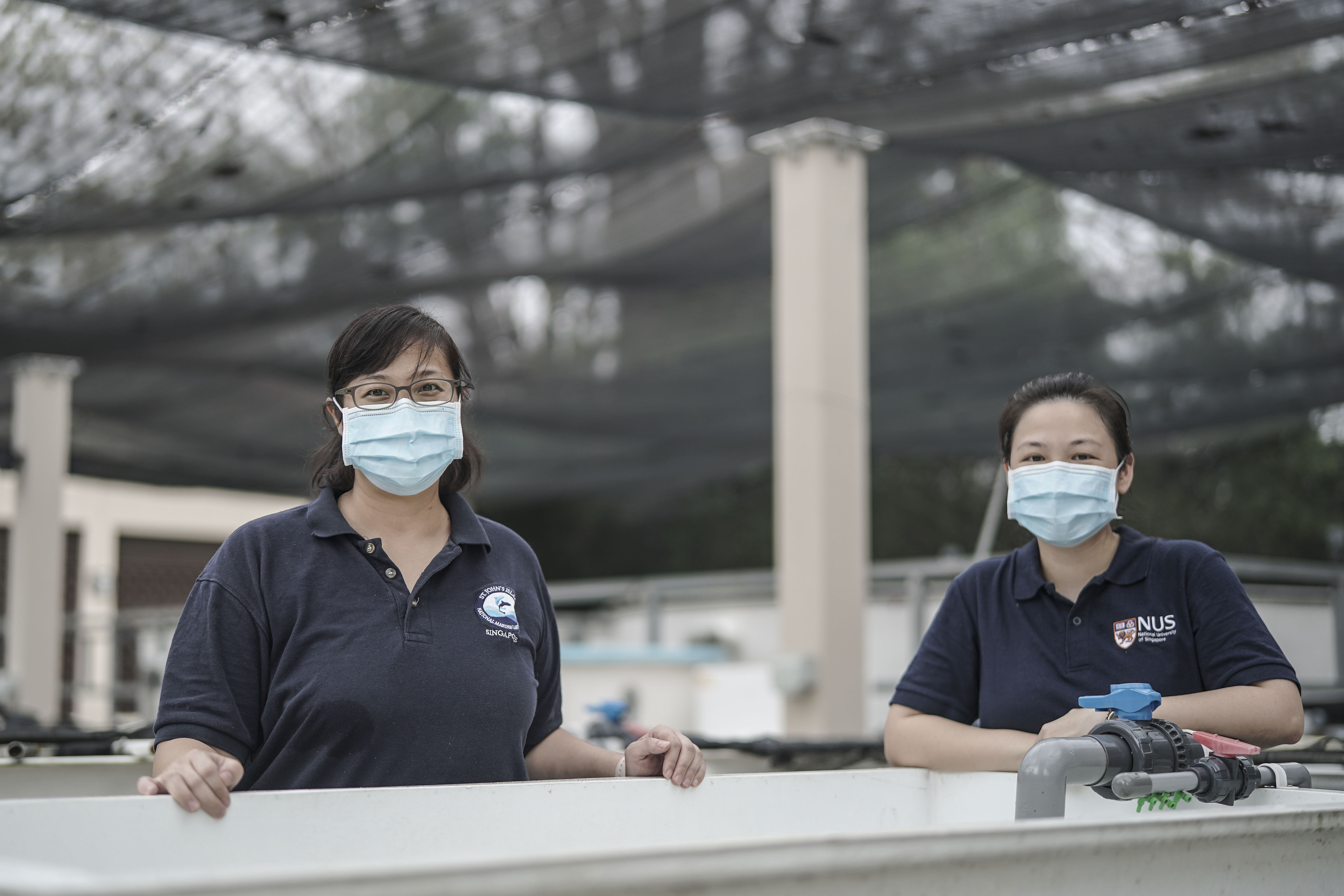 Singapore marine biologists Jani Tanzil and Neo Mei Lin. PHOTO: WALLACE WOON