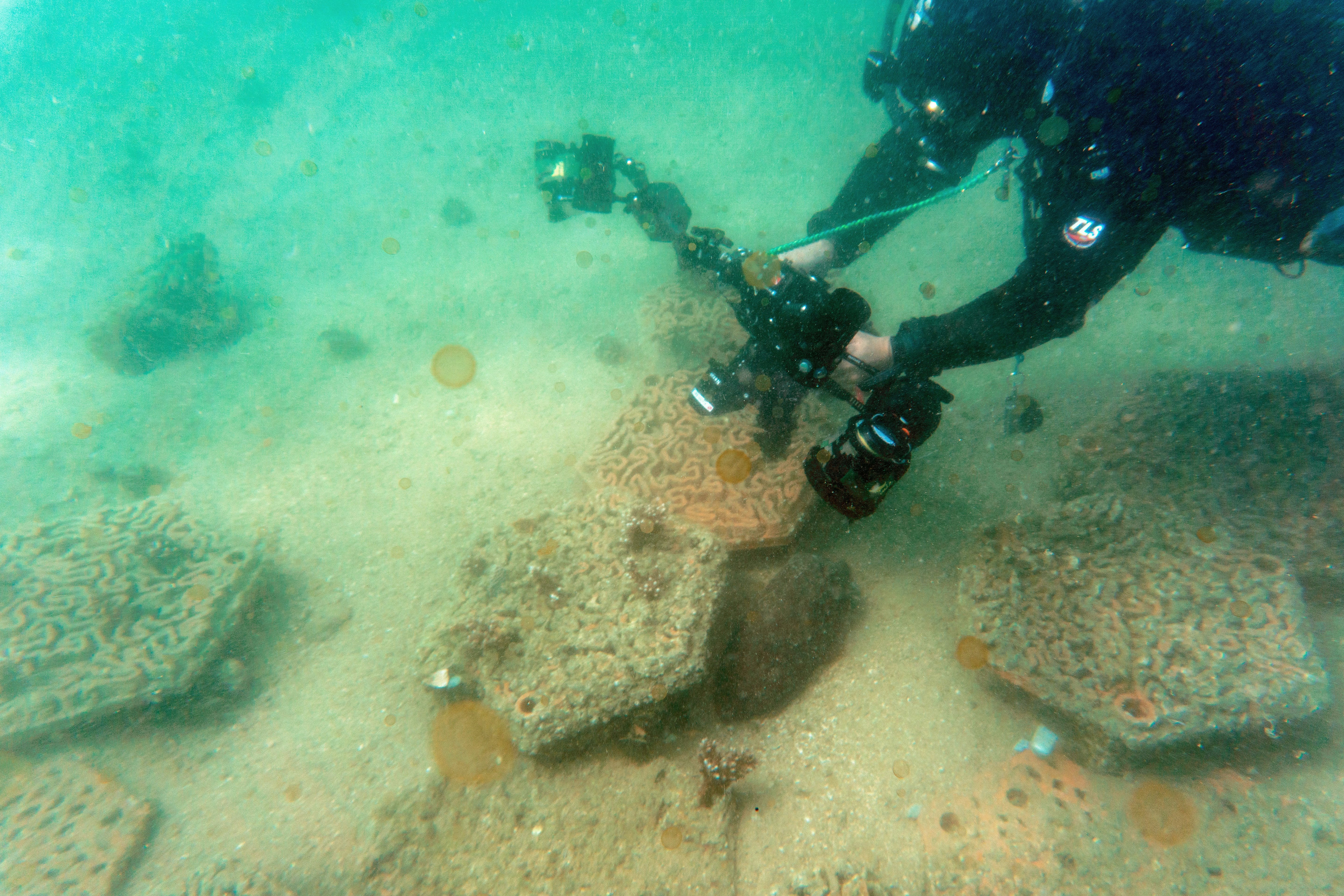 A diver swims above an artificial 3D-printed seabed for corals. PHOTO: ANTHONY WALLACE / AFP