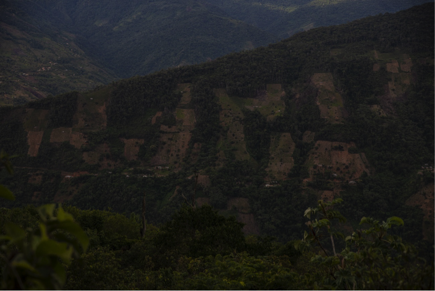 El municipio de La Asunta es foco de migración, la mayoría de la población proviene de otro lugar. Recorriendo diferentes comunidades se podía observa montañas enteras de plantaciones de hoja de coca, la fuente de ingresos de muchas familias.