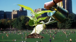 Collage depicting a giant hand watering a plant as people enjoy a public park and its festive atmosphere.