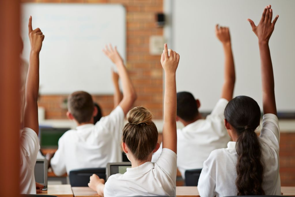 School students with raised hands, back view.