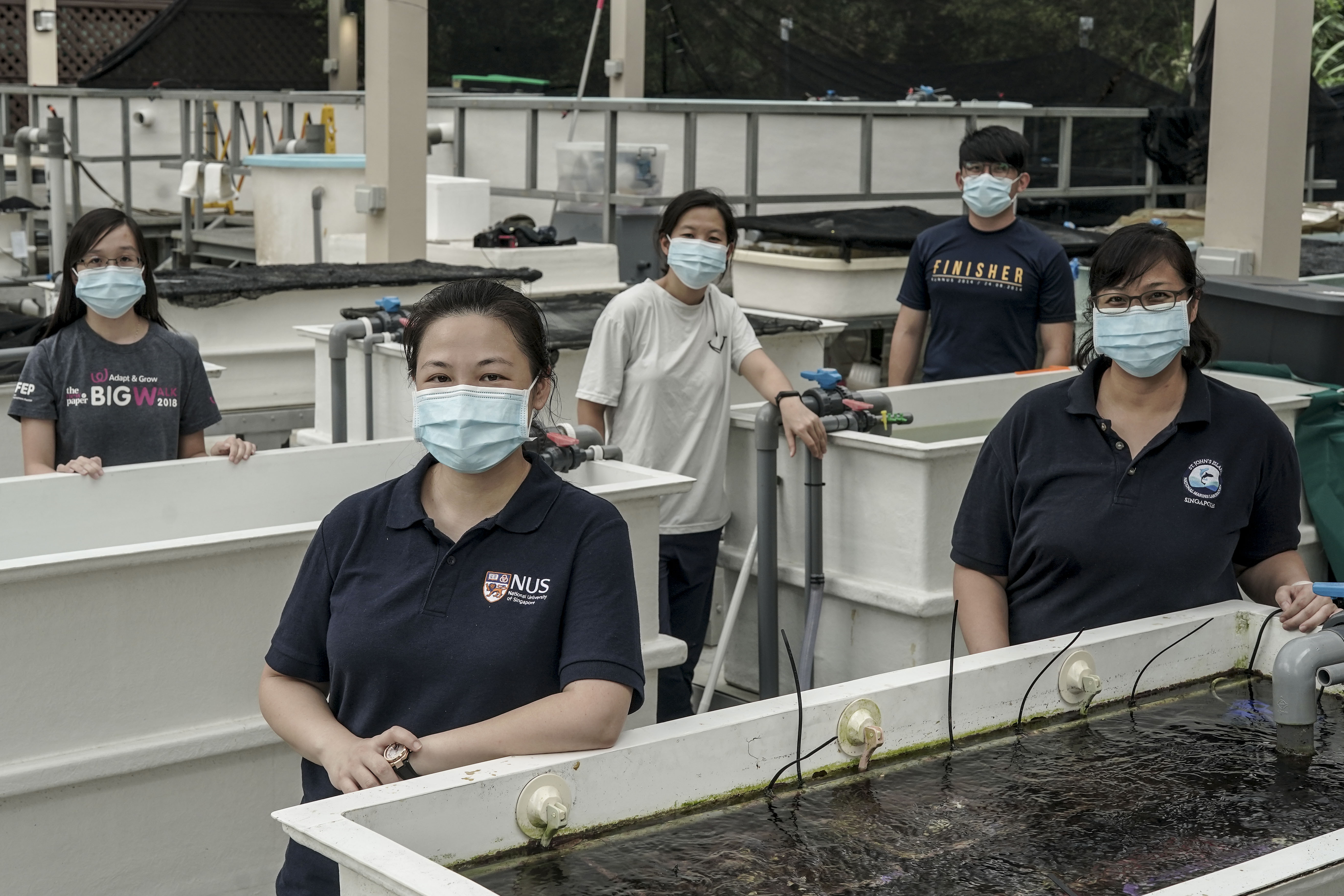 The team on Singapore's offshore St John's island. Photo: Wallace Woon