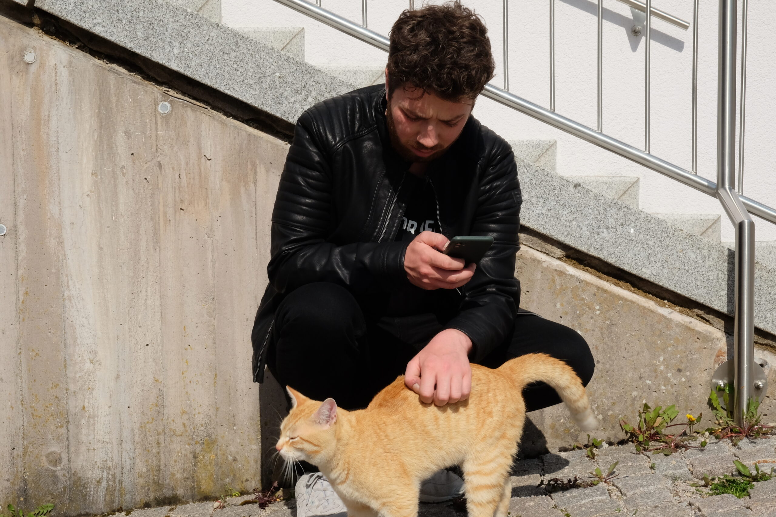 Junger Mann streichelt eine rote Katze