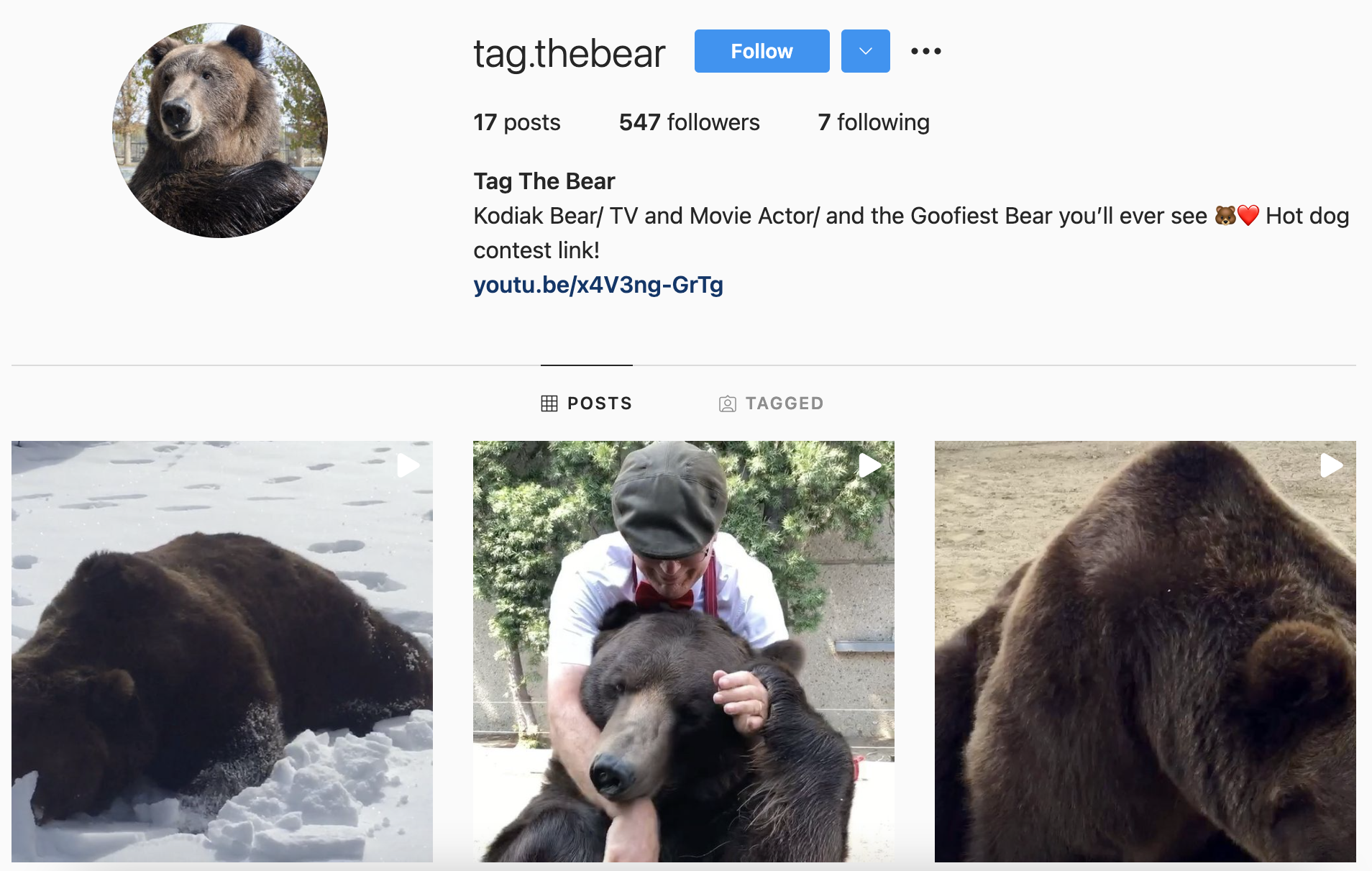 Tag Bear John Cox Instagram Account