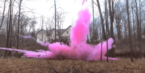 Tannerite gender reveal