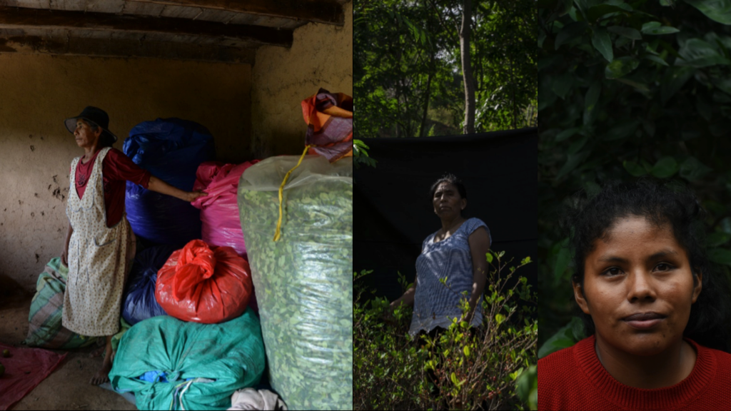 De inheemse Boliviaanse vrouwen die het patriarchaat omverbeuken