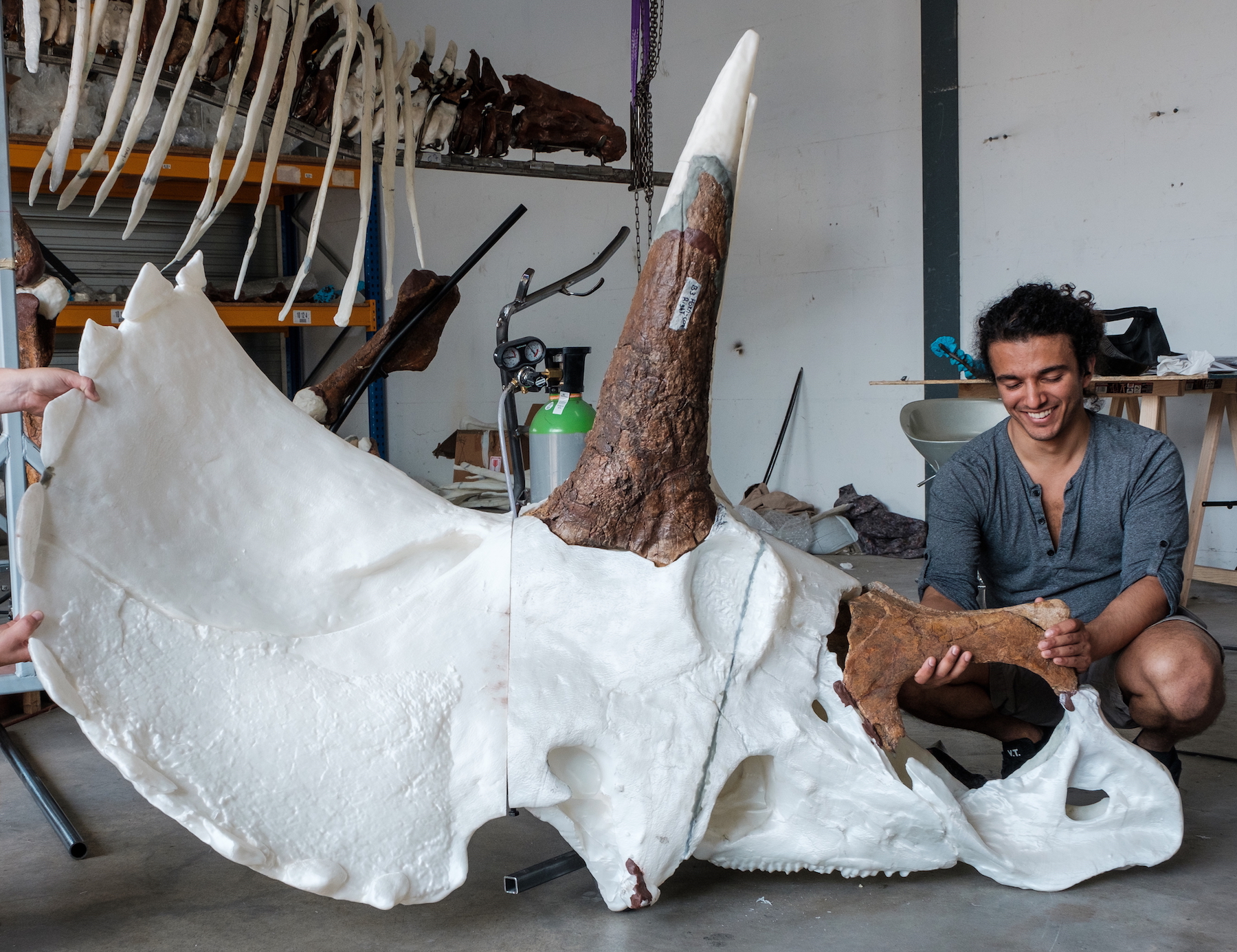 Pasha van Bijlert - young man sitting on the floor, aligning the bones of a large skull and smiling while looking down.