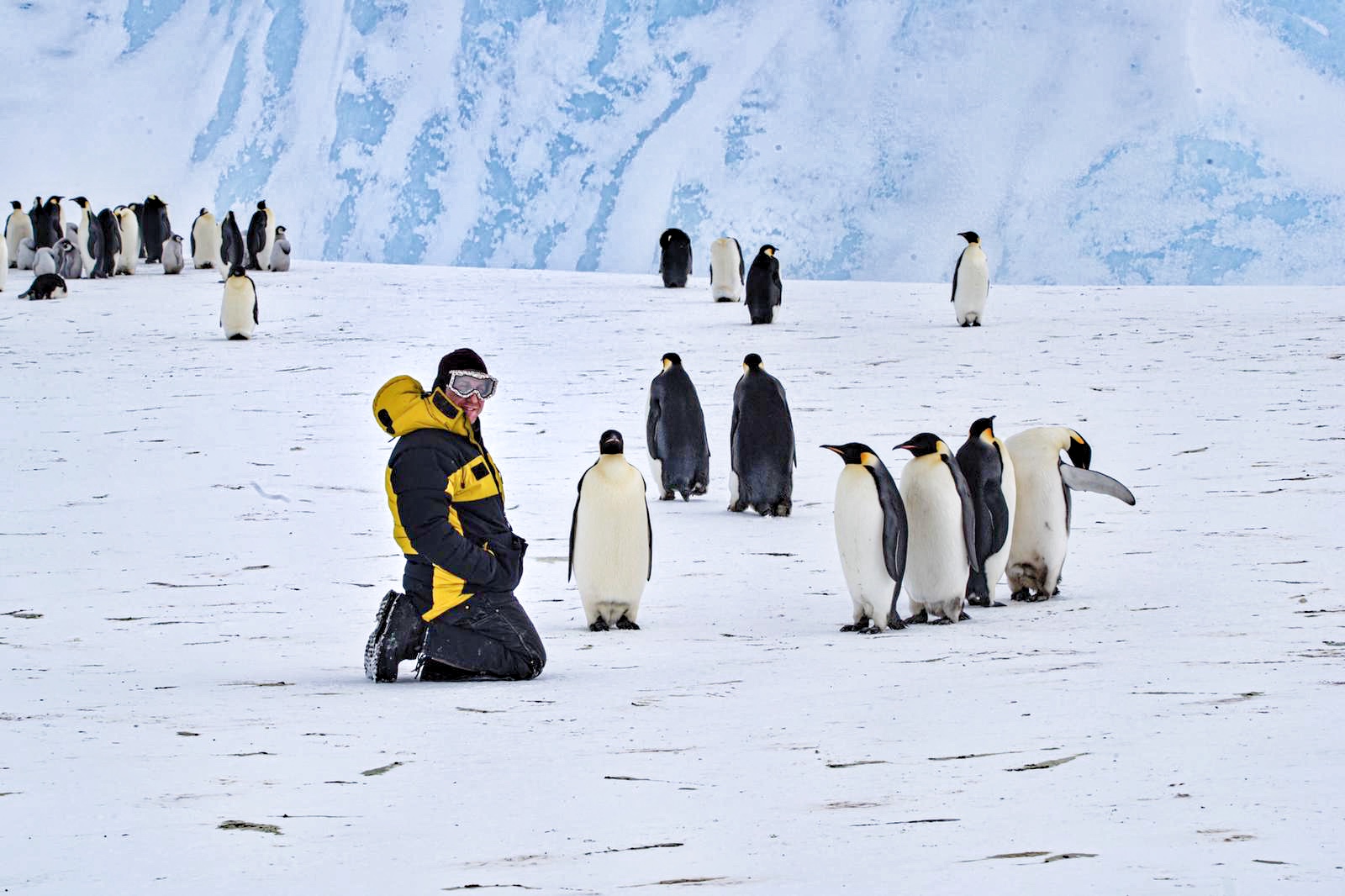 Matt with emperor penguins.jpeg